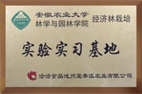 安农大实验实习蜜桃AV影院