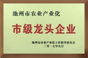 市级龙头久久精品亚洲AV无码水蜜桃