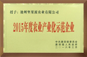 2015年度农业产业化示范久久精品亚洲AV无码水蜜桃