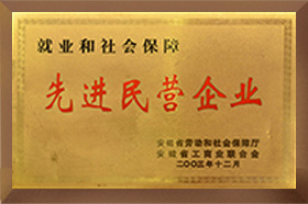 先进民营久久精品亚洲AV无码水蜜桃