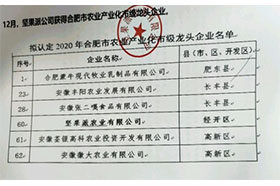 2020年合肥市农业产业化市级龙头久久精品亚洲AV无码水蜜桃